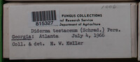 Image Associated With the Occurence